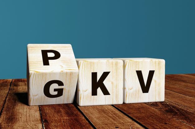 Drei Würfel mit Buchstaben. Der eine Würfel steht auf der Kippe, so kann man auf der einen Würfelseite ein P und auf der anderen ein G erkennen. Dahinter reihen sich die Würfel mit K und V auf. So kann PKV und GKV gelesen werden.