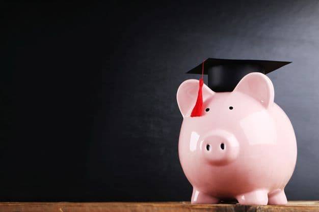 Ein rosa Sparschwein trägt auf dem Kopf eine Bachelor-Mütze