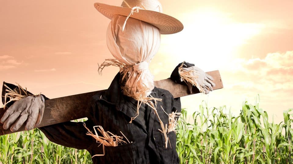 Fungiert ein Strohmann als GmbH-Geschäftsführer, kann ihn das Finanzamt für Steuerschulden nicht haftbar machen.