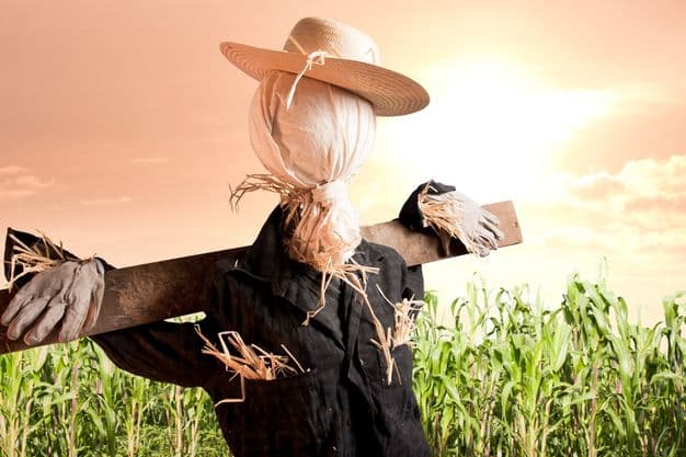 Fungiert ein Strohmann als GmbH-Geschäftsführer, kann ihn das Finanzamt für Steuerschulden nicht haftbar machen.