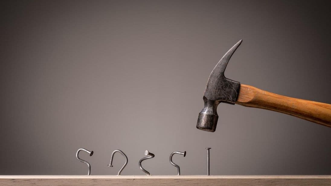 Photography - stock.adobe.com