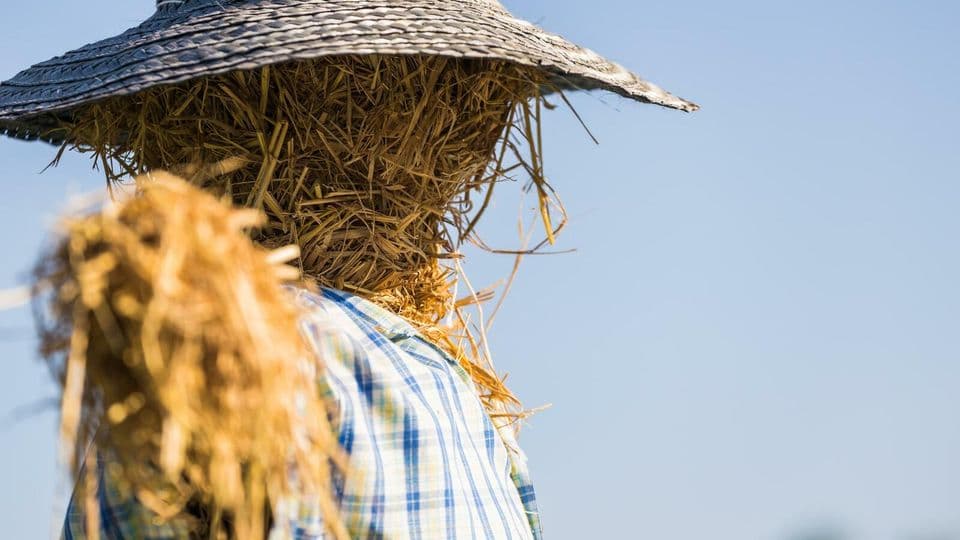 Vorsicht Strohfirma: Bei Aufträgen an eine Scheinfirma liegt die Beweislast gegenüber dem Fiskus beim Auftraggeber.