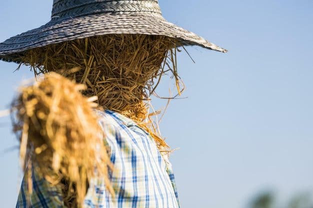Vorsicht Strohfirma: Bei Aufträgen an eine Scheinfirma liegt die Beweislast gegenüber dem Fiskus beim Auftraggeber.