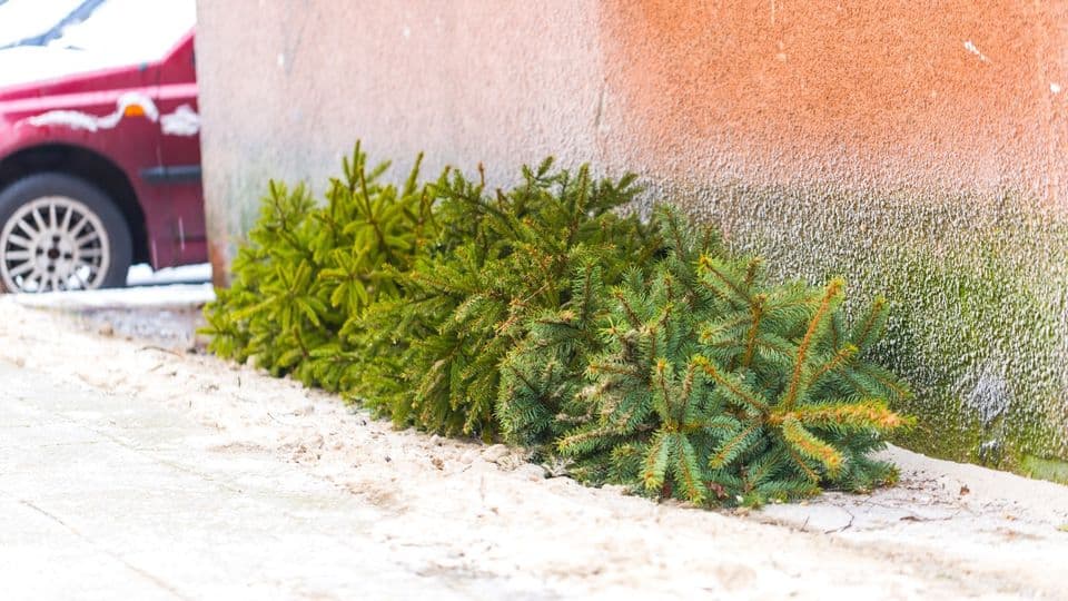 Weihnachtsbaum aus dem Fenster werfen kann Straftat sein