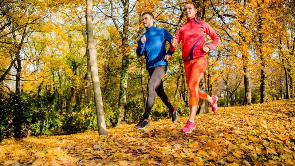 Ob Walken oder Laufen: Für Handwerker ist es wichtig, das Herz-Kreislauf-System zu trainieren.